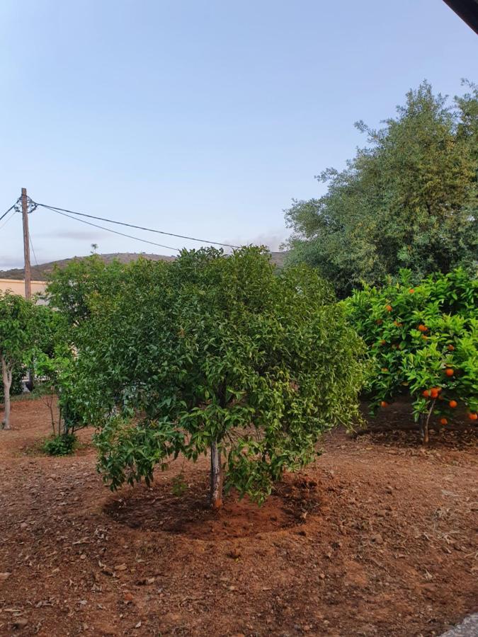 Chania Casa Portokali Perivólia Eksteriør billede
